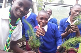 WCS Partners with Ecosia to Plant 900,000 Trees in Tanzania